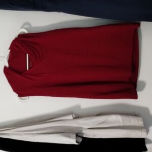 Cranberry Cowl Neck Sleeveless Blouse